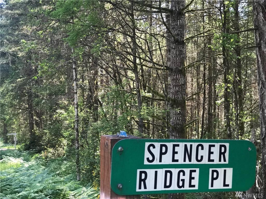 0 E Phillips Lake Rd - Photo 1