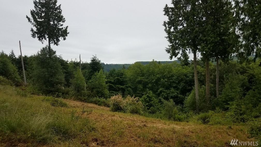 103 Wells Ridge Ct - Photo 1