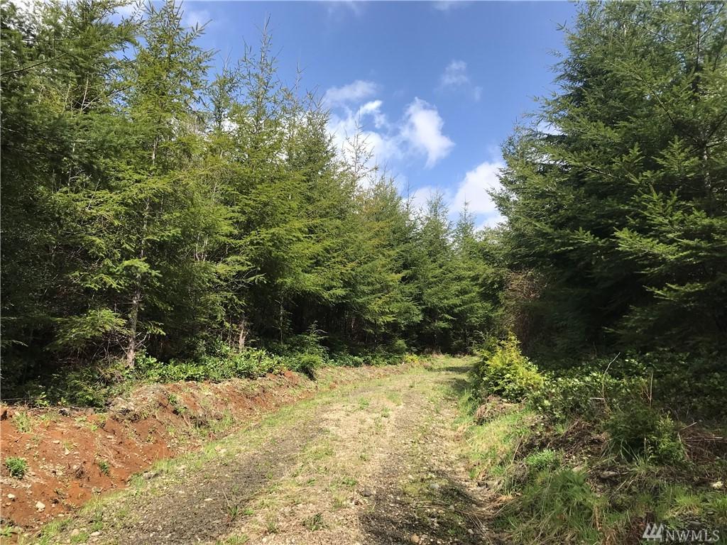 0 Newman Creek Road - Photo 1