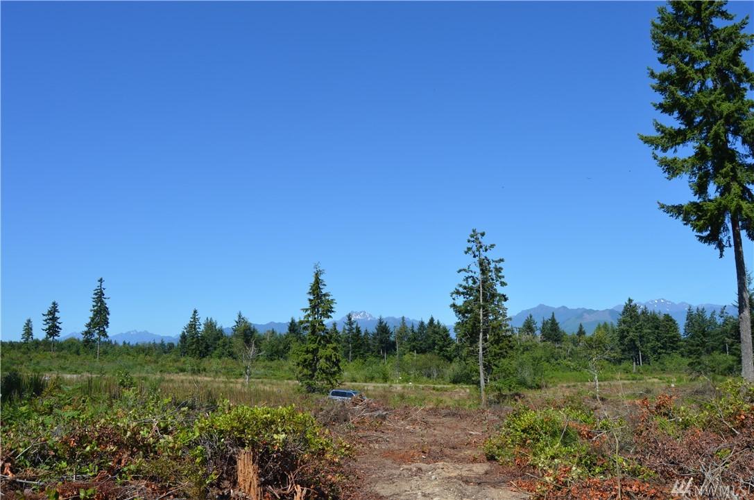 0-Lot 1 Turko Lane - Photo 1