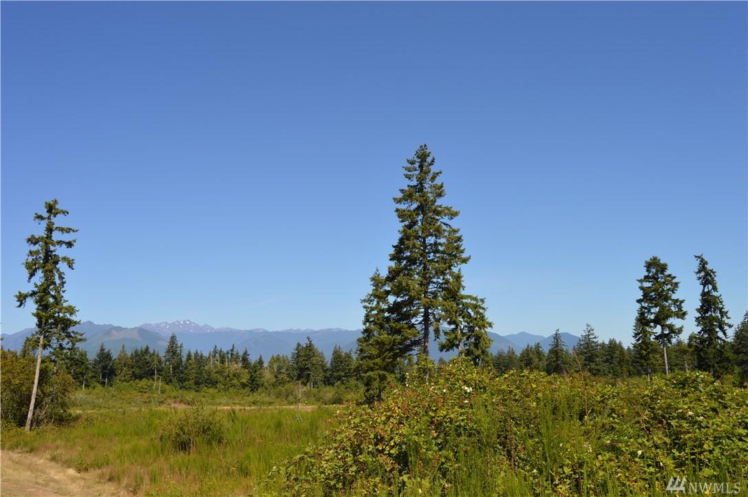 0-Lot 2 Turko Lane - Photo 1