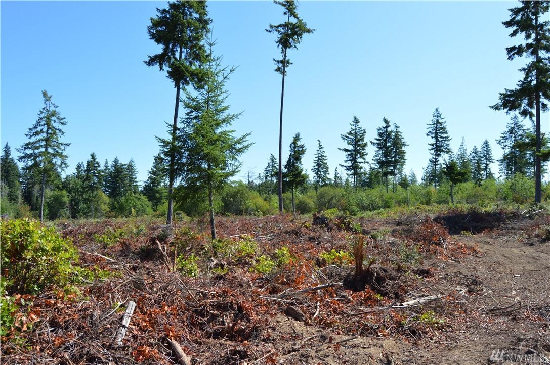 0-Lot 3 Turko Lane - Photo 1