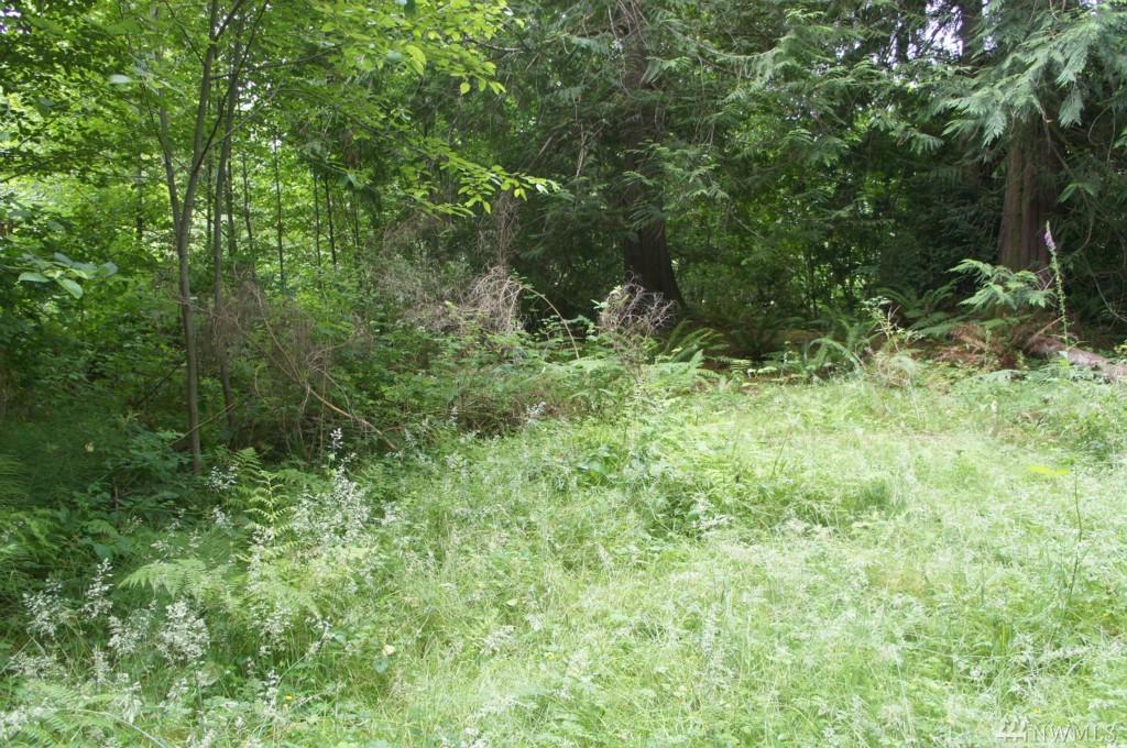 0-NSN Maple Lane - Photo 1