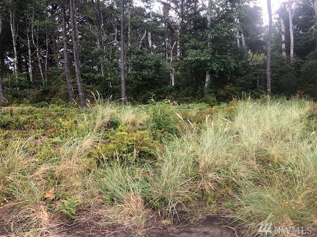 32202 J Place - Photo 1