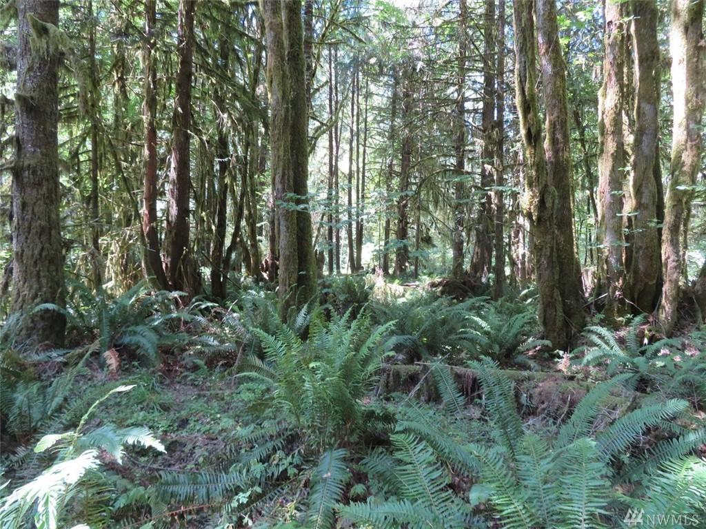 0-Lot 20 Deer Park Lane - Photo 1