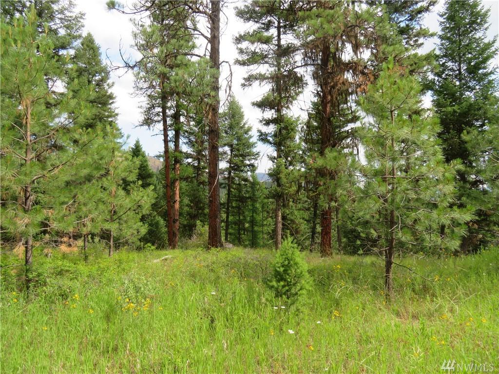 0 Old West Curlew Lake Rd - Photo 1