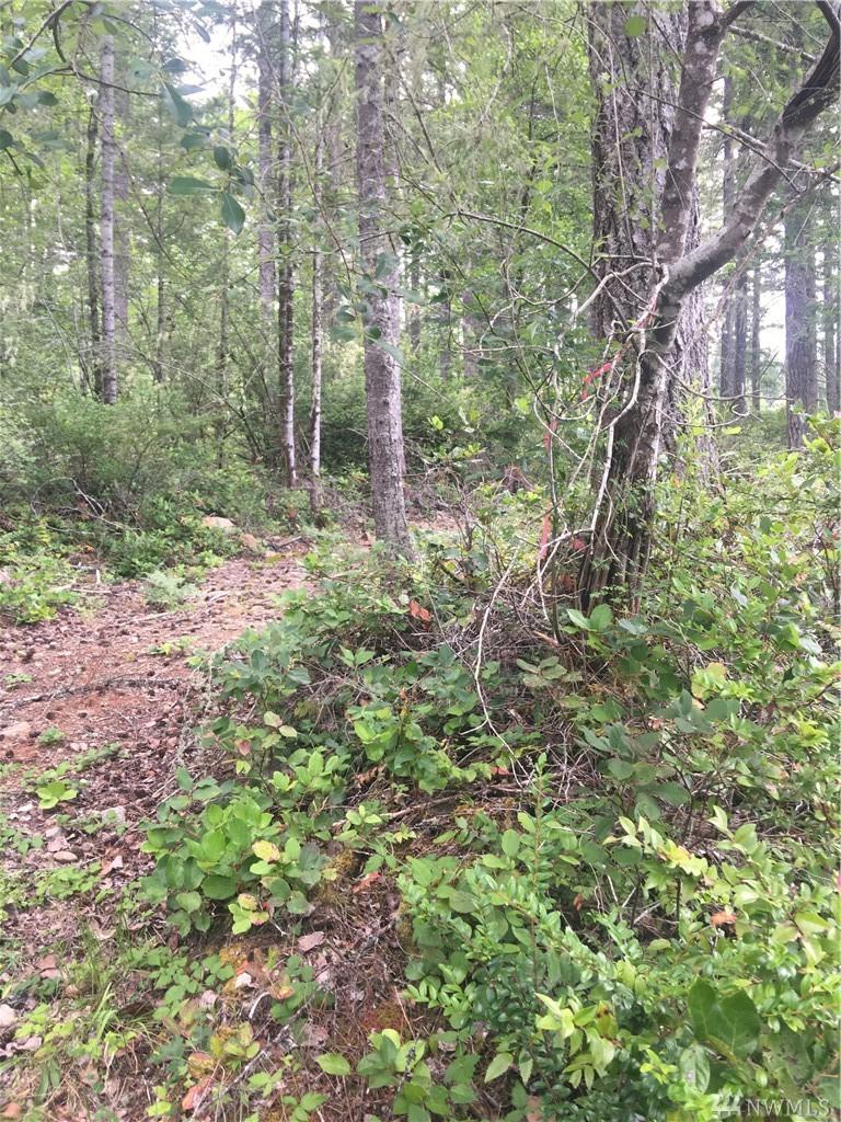 0-13xxx Tenino Dr - Photo 1