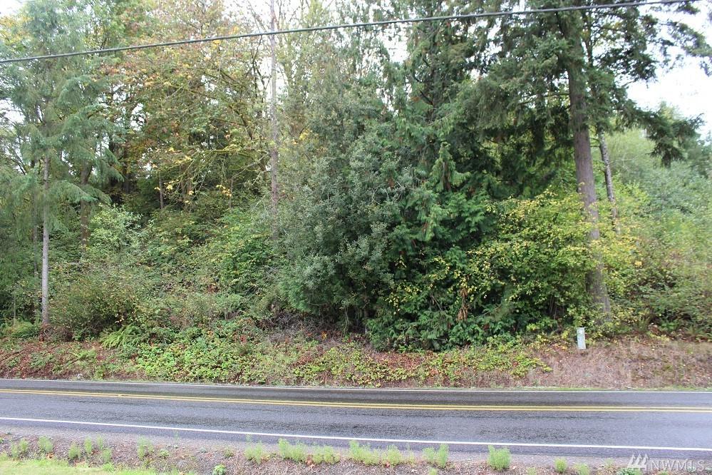 0 Forest Canyon Rd - Photo 1
