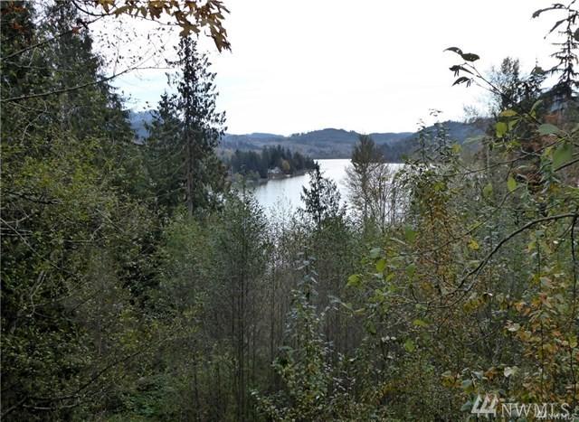 0-NHN Mountain View Rd - Photo 1