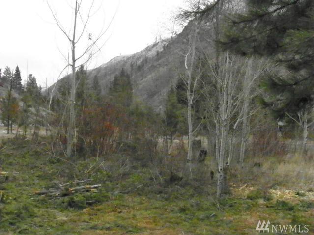 24 Parcel D Entiat River Rd - Photo 1