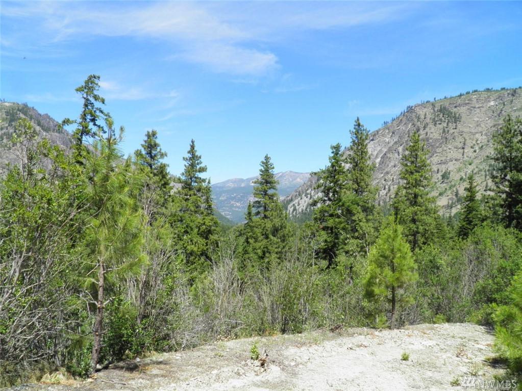 0 Tyee View Entiat River Rd - Photo 1