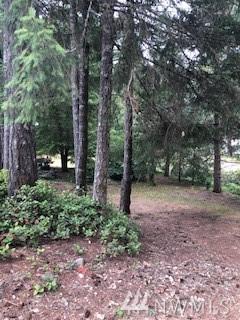 0-Lot 3 Bear Lake Dr - Photo 1 0-Lot 3 Bear Lake Dr - Photo 1