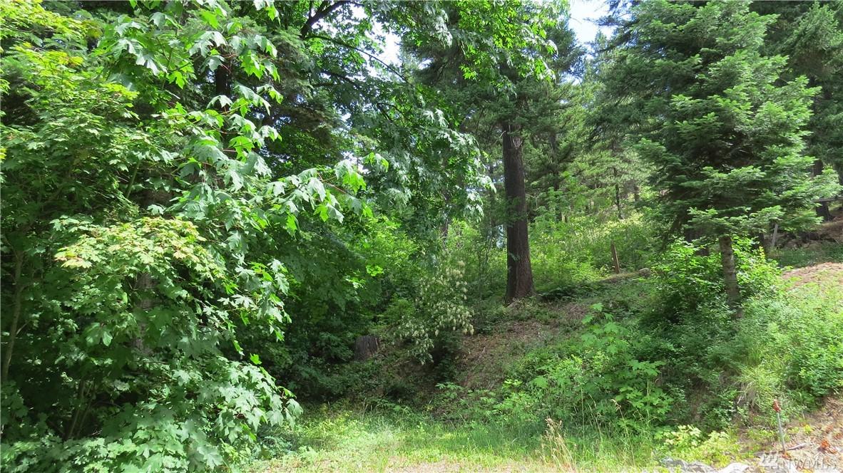 4 Pineloch Sun Dr - Photo 1