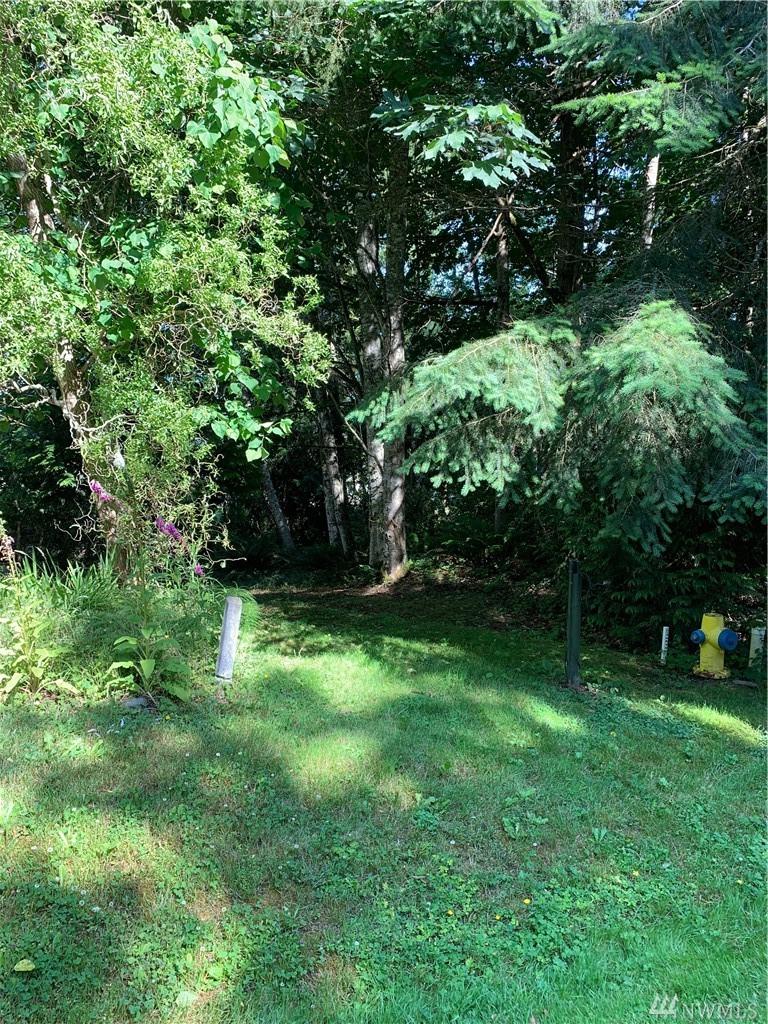 9999 Rainier Lane - Photo 1