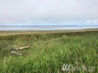 776 Duck Lake Dr - Photo 1