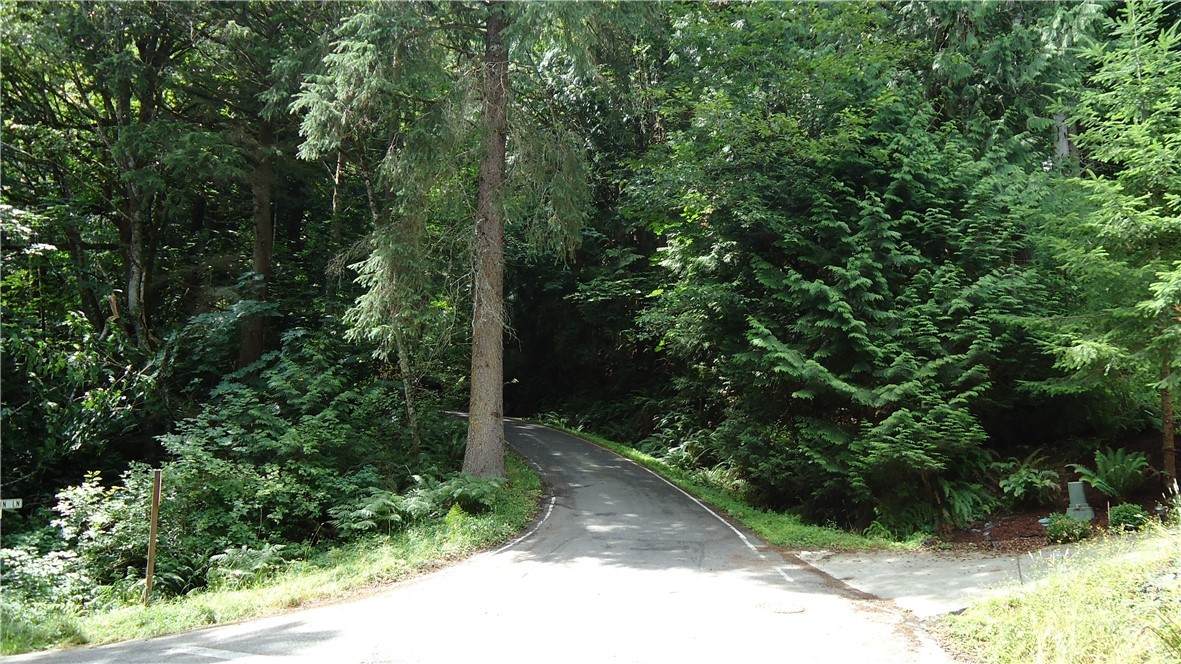 4 Deer Run Lane - Photo 1