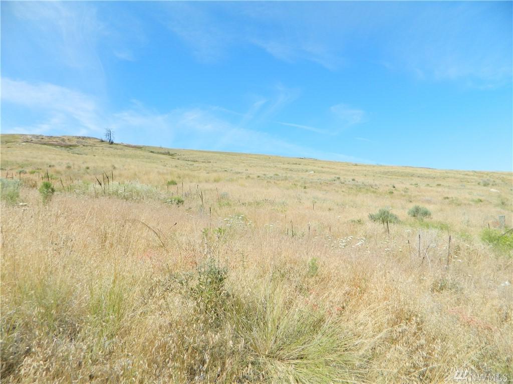 111 Tbd 5 Mile Rd - Photo 1