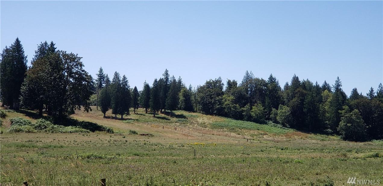 40525 224th Ave - Photo 1