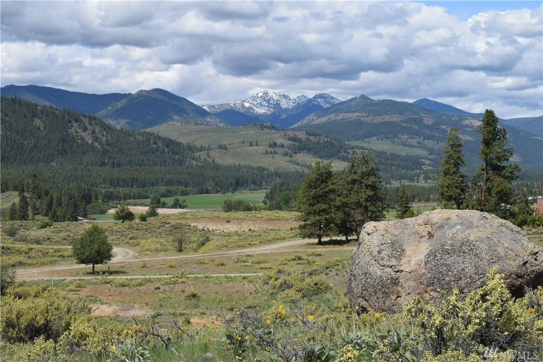 0-Lot 38 Buckskin Rd - Photo 1