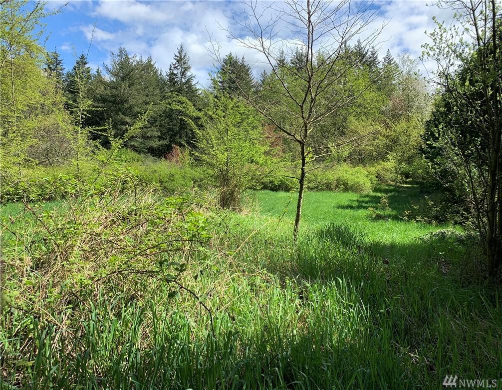 0 Birch Bay Lynden Rd - Photo 1 0 Birch Bay Lynden Rd - Photo 1