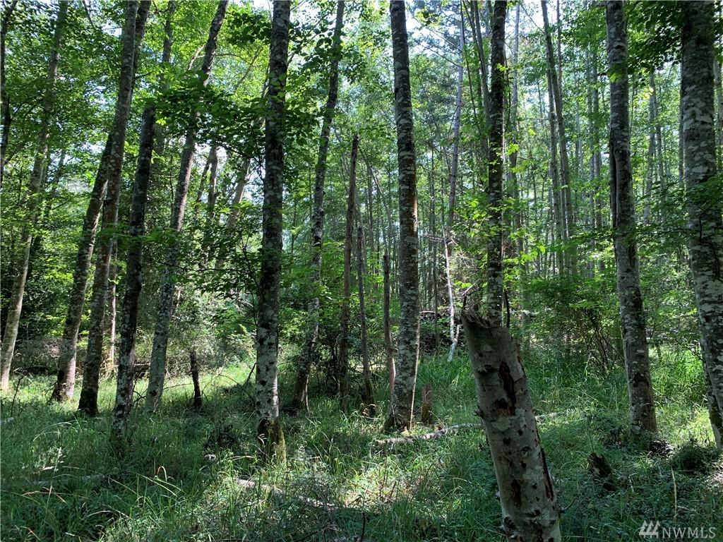 0 Olga Cemetery Rd - Photo 1