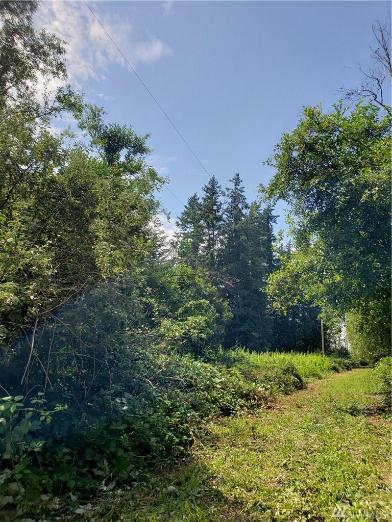7680 Custer School Road Rd - Photo 1
