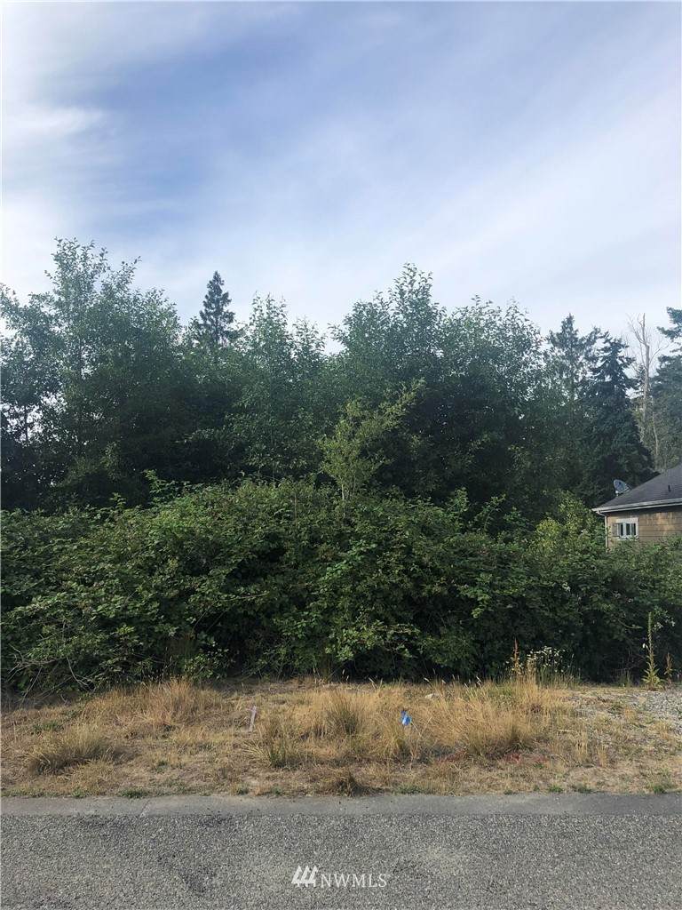 0 Twin Oaks Lane - Photo 1
