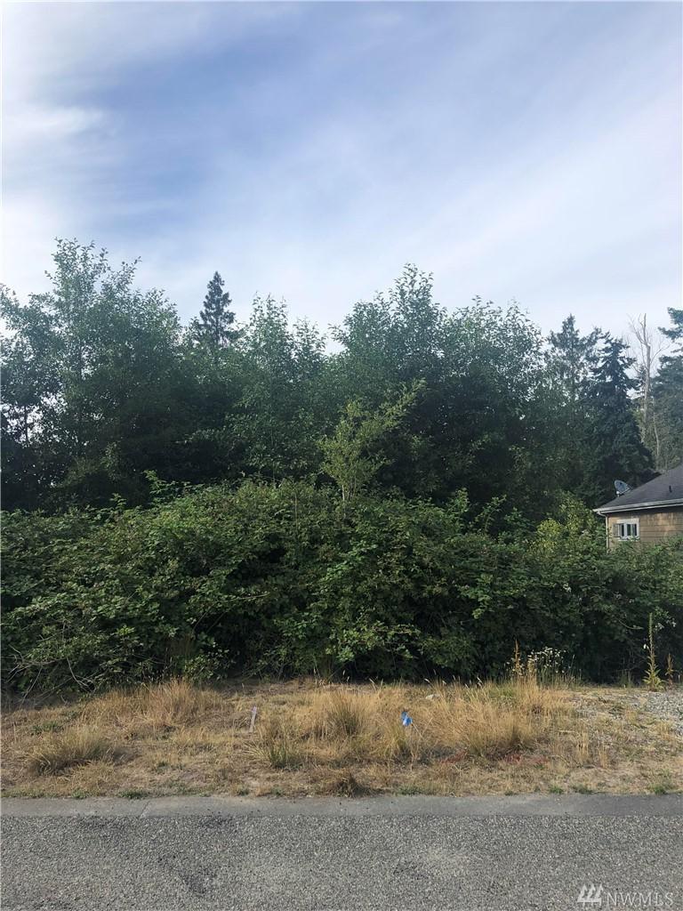 0-Lot 12 Twin Oaks Lane - Photo 1