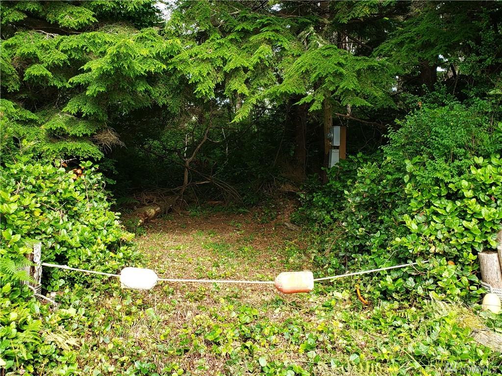 30708 K Place - Photo 1