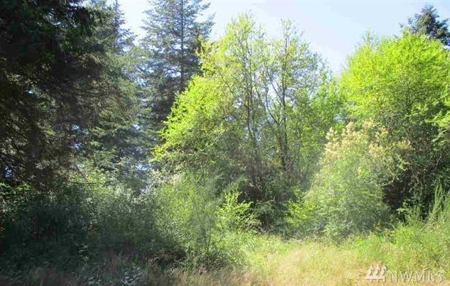 9999 Lower Elwha Rd - Photo 1 9999 Lower Elwha Rd - Photo 1