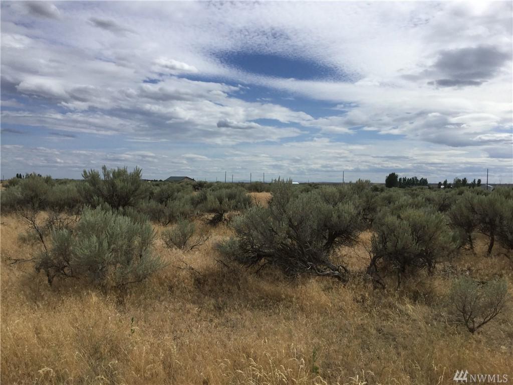 11372 Neppel Rd - Photo 1