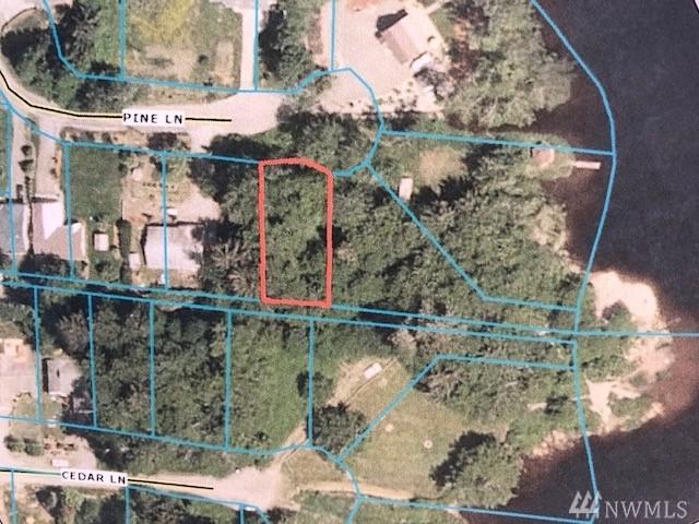 0 Pine Lane - Photo 1
