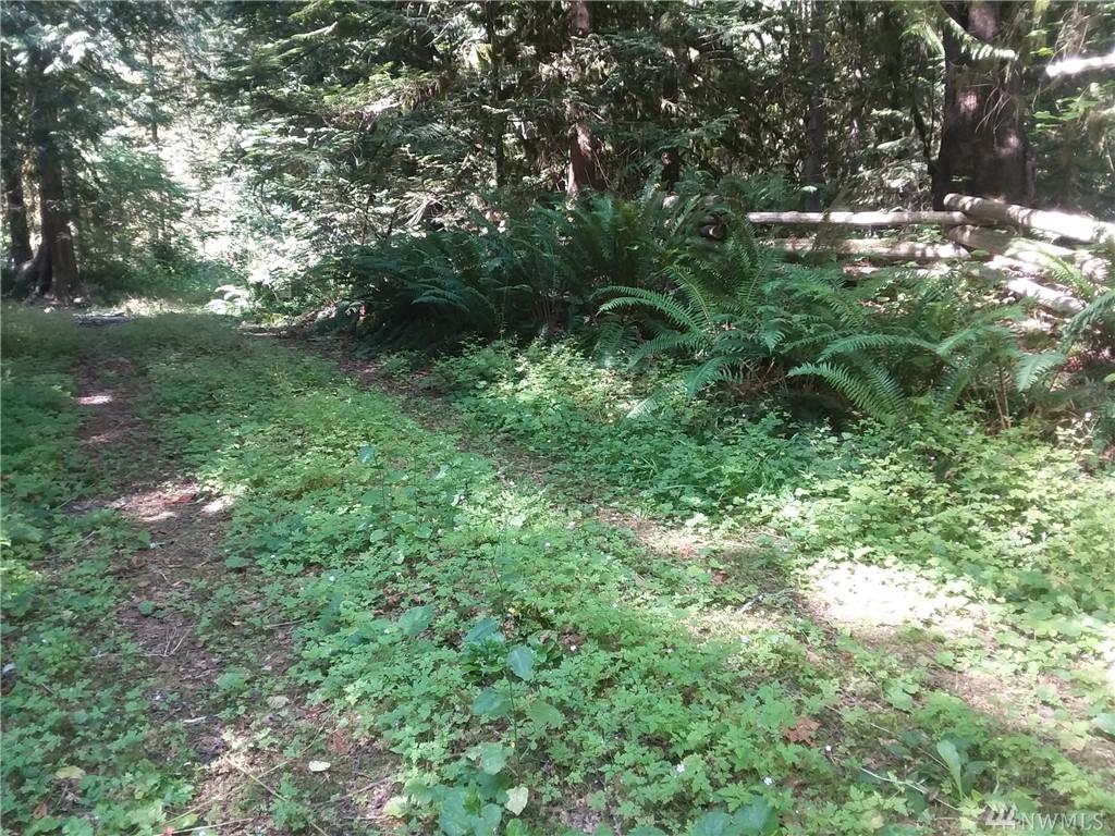 7358 Skagit View Dr. - Photo 1
