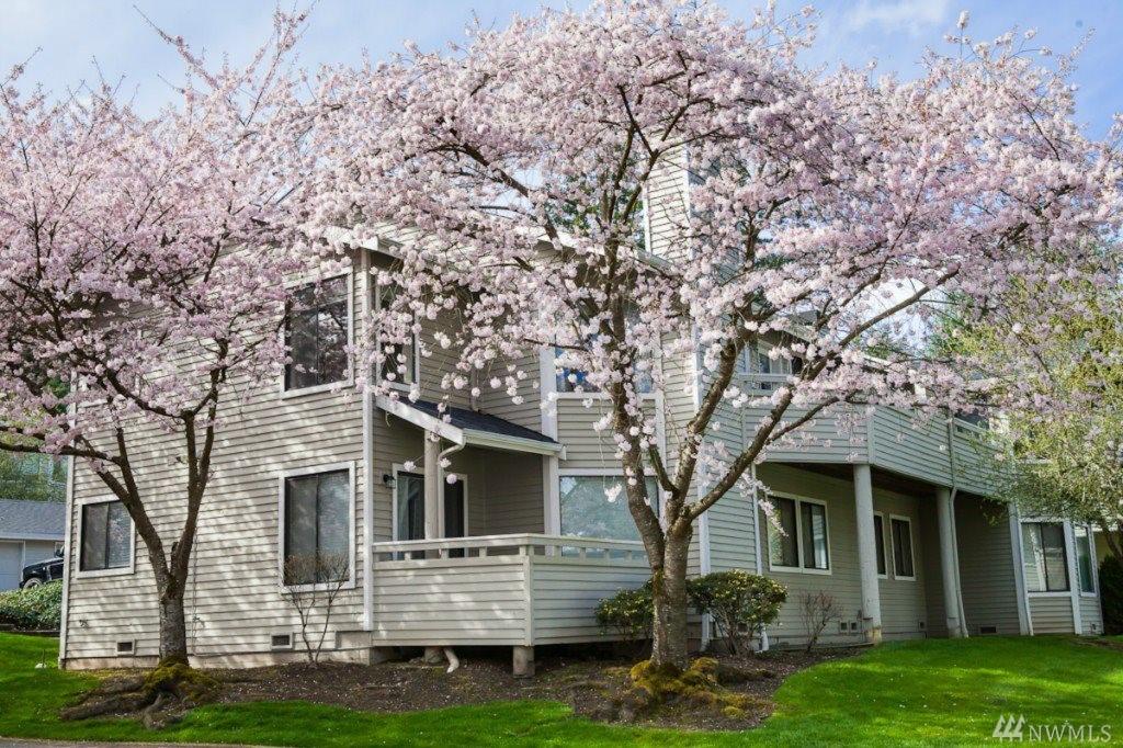 9009 Avondale Rd - Photo 1