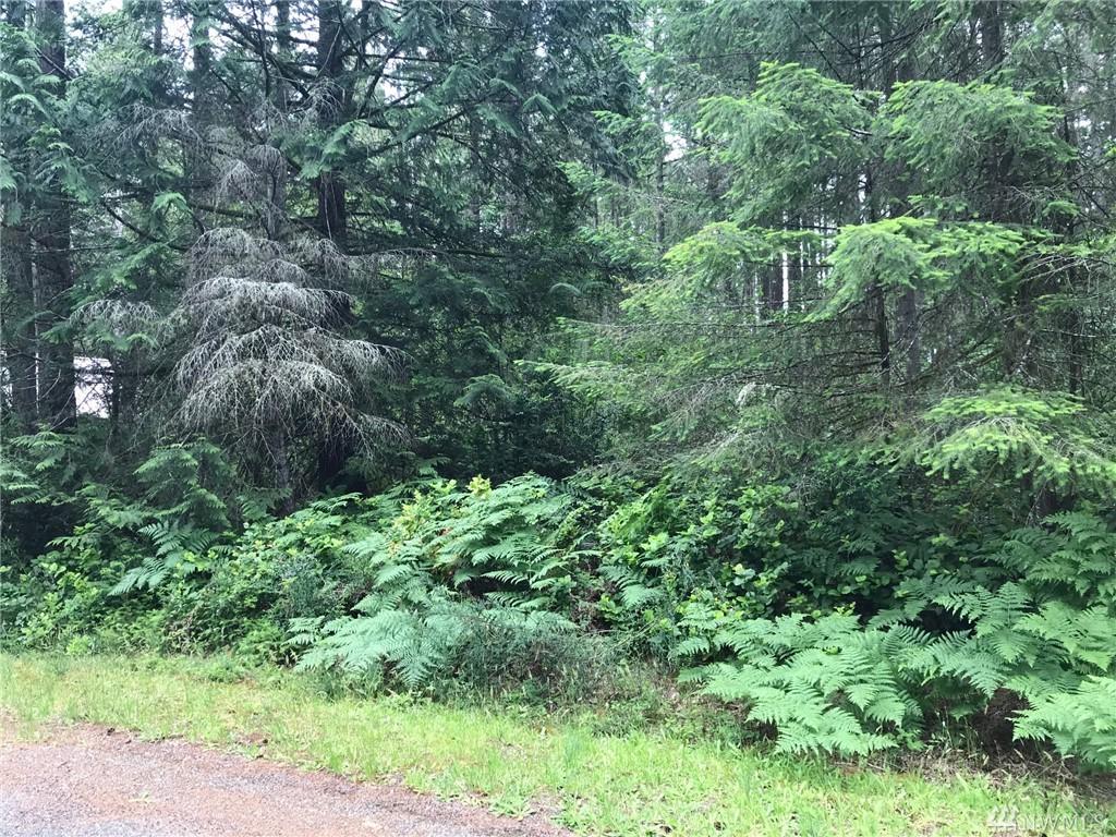 10916 118th Av Ct - Photo 1