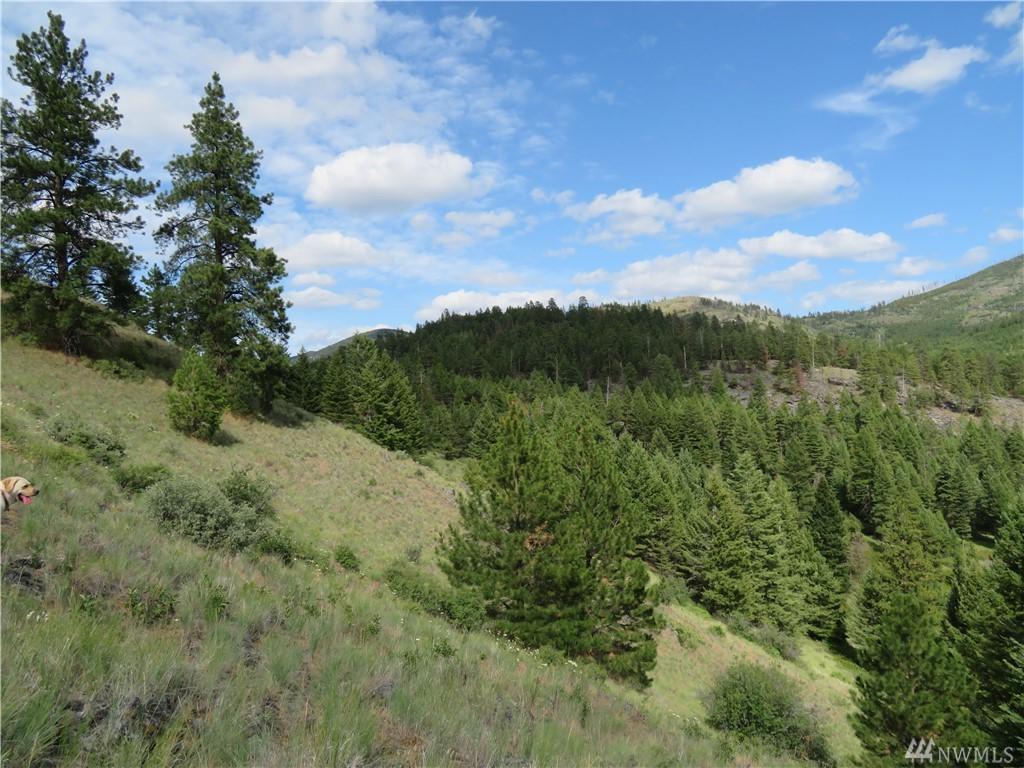 0-TBD O'brien Creek Rd - Photo 1