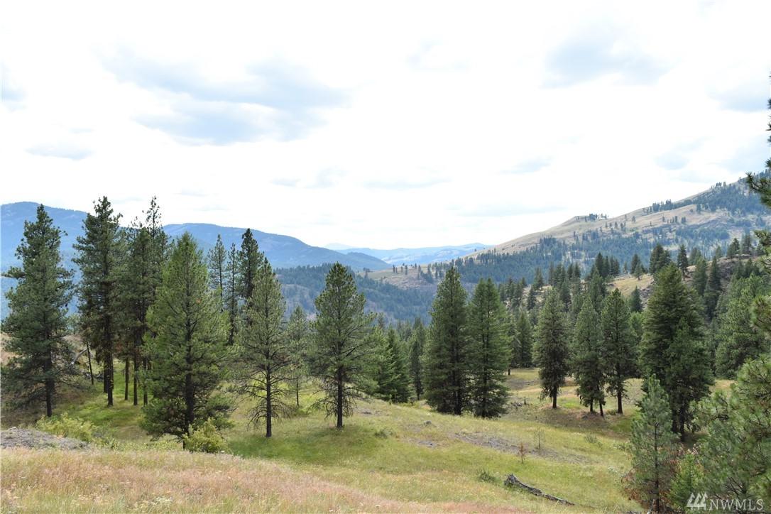 0-TBD Sugarloaf Rd - Photo 1