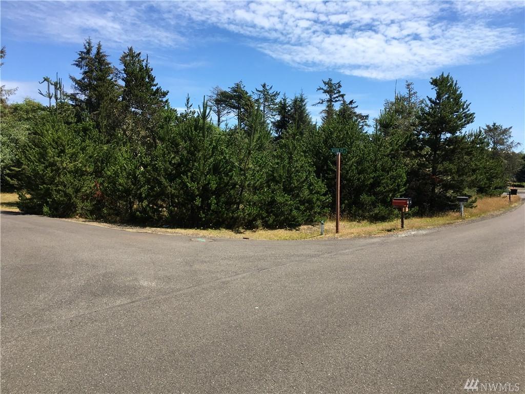 613 Aster Ct - Photo 1