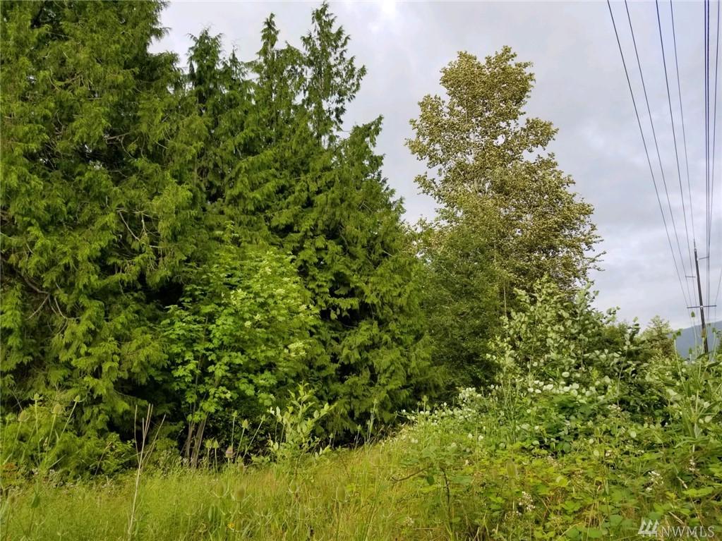 313 Weston - Photo 1