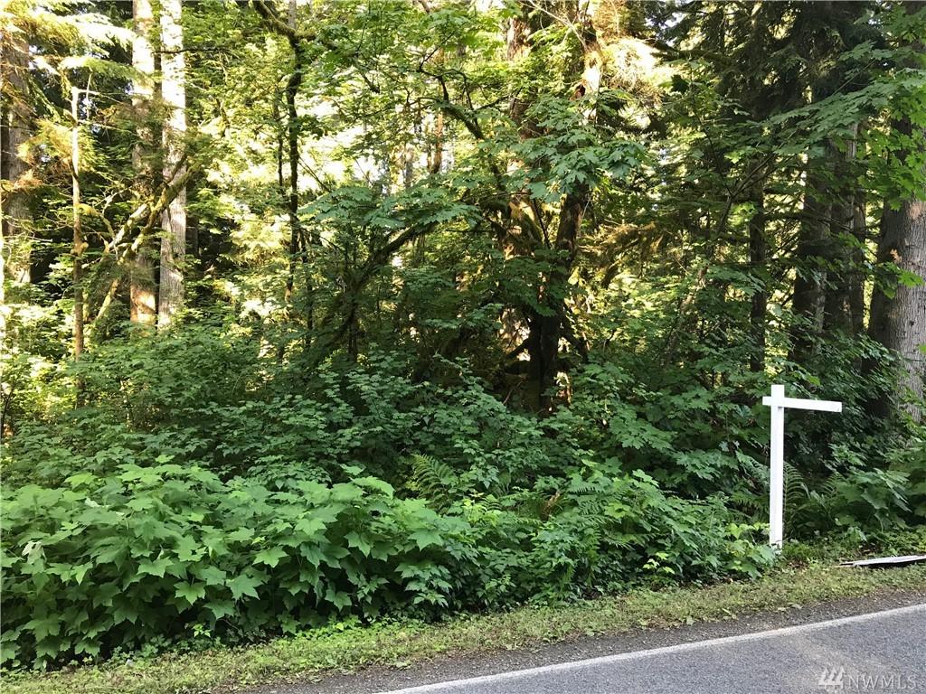212-approx Lake Roesiger Rd - Photo 1