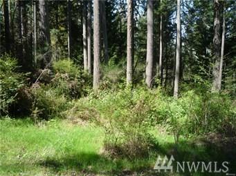 12103 Wapato Rd - Photo 1
