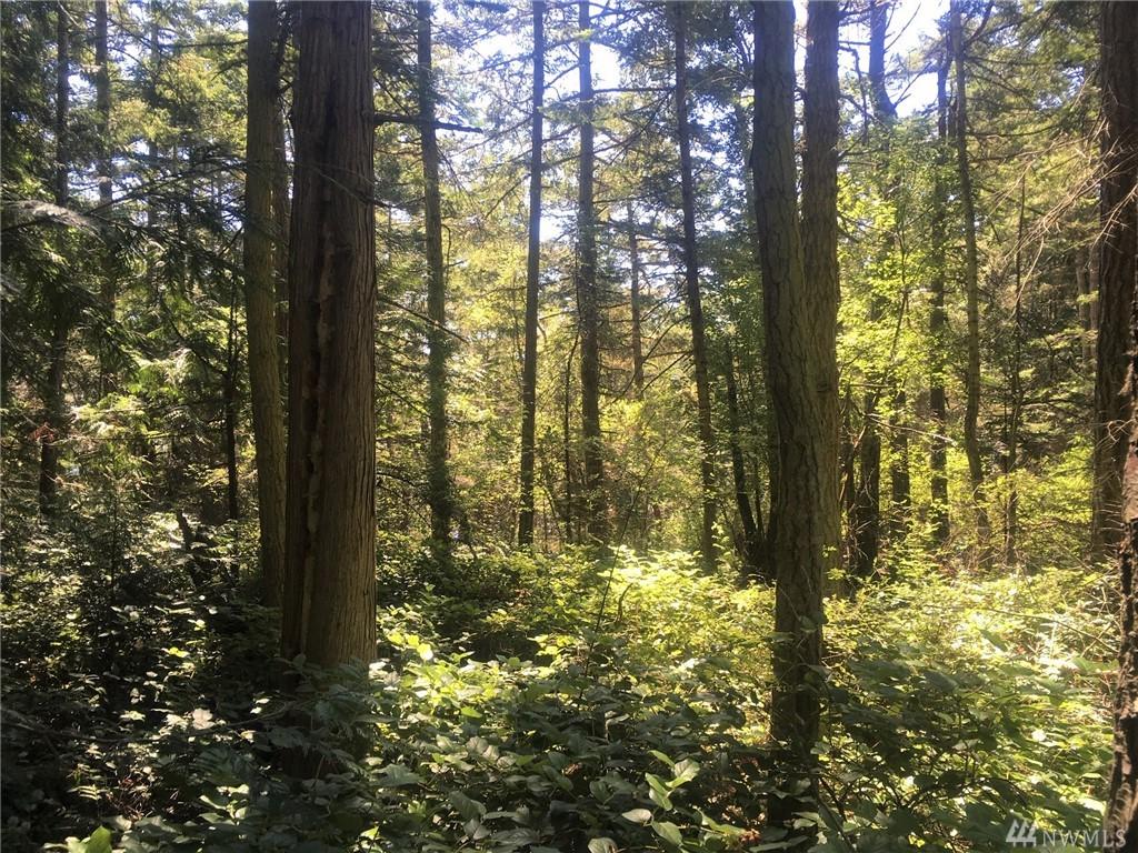 87 Center Island - Photo 1