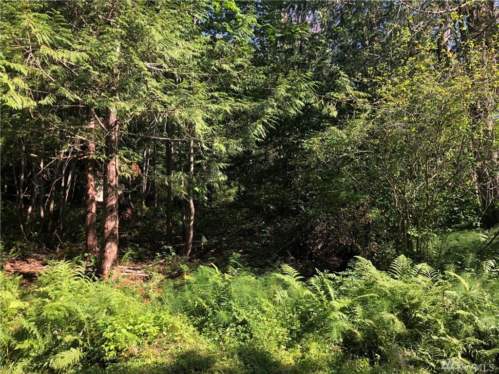 140 Forest Dr - Photo 1