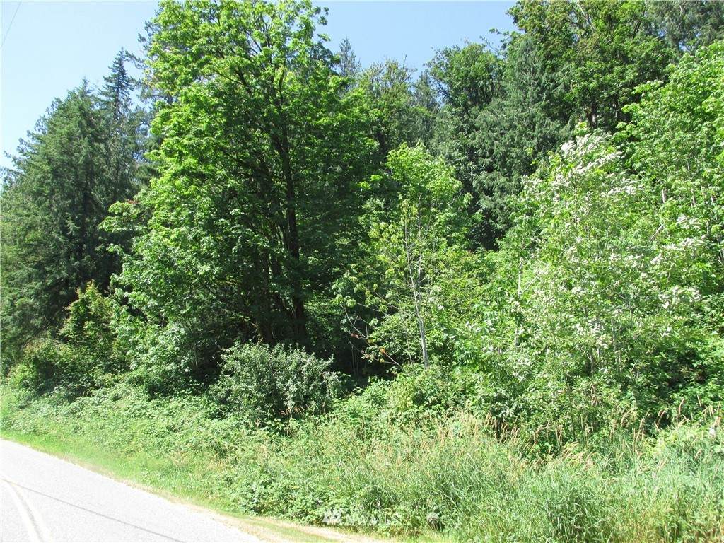 0 Marshall Hill Road - Photo 1