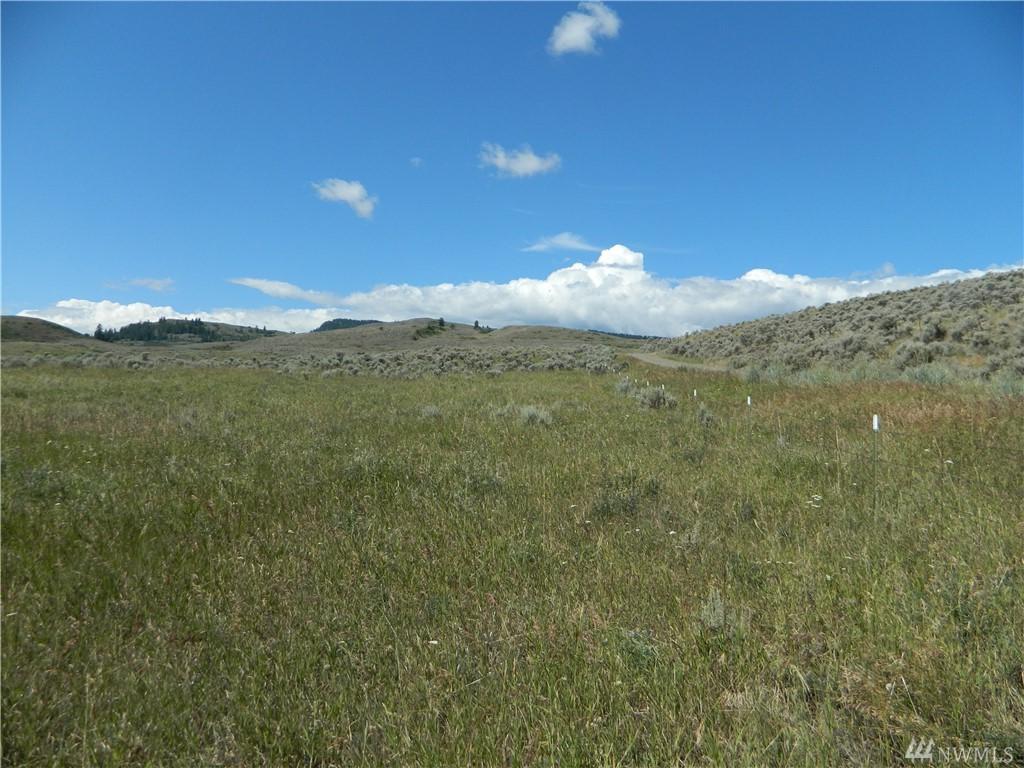 1111 Tbd Ellemeham Mountain Rd - Photo 1