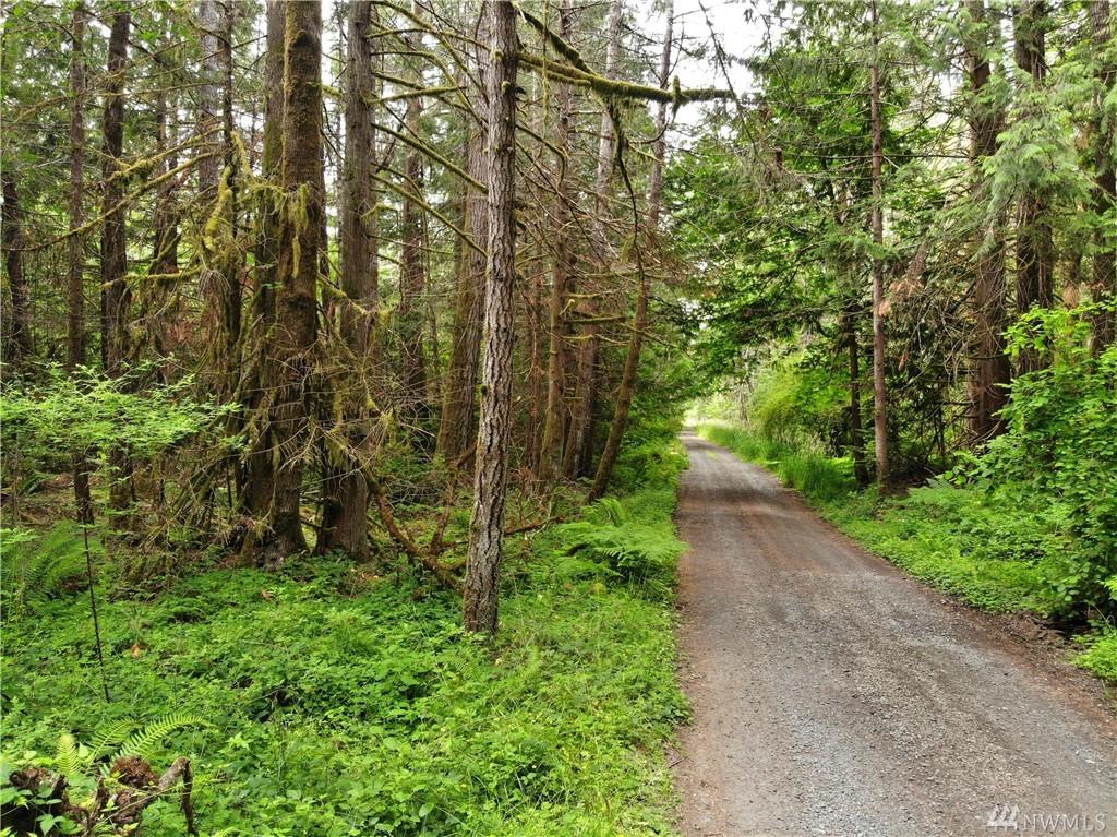 100-Lot 3 Christian Lane - Photo 1