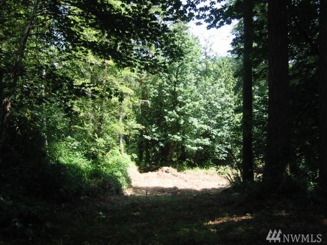0 Phillips Rd - Photo 1