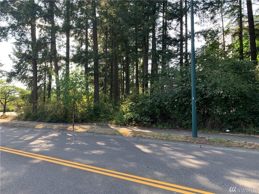 170 Xx Wax Rd - Photo 1