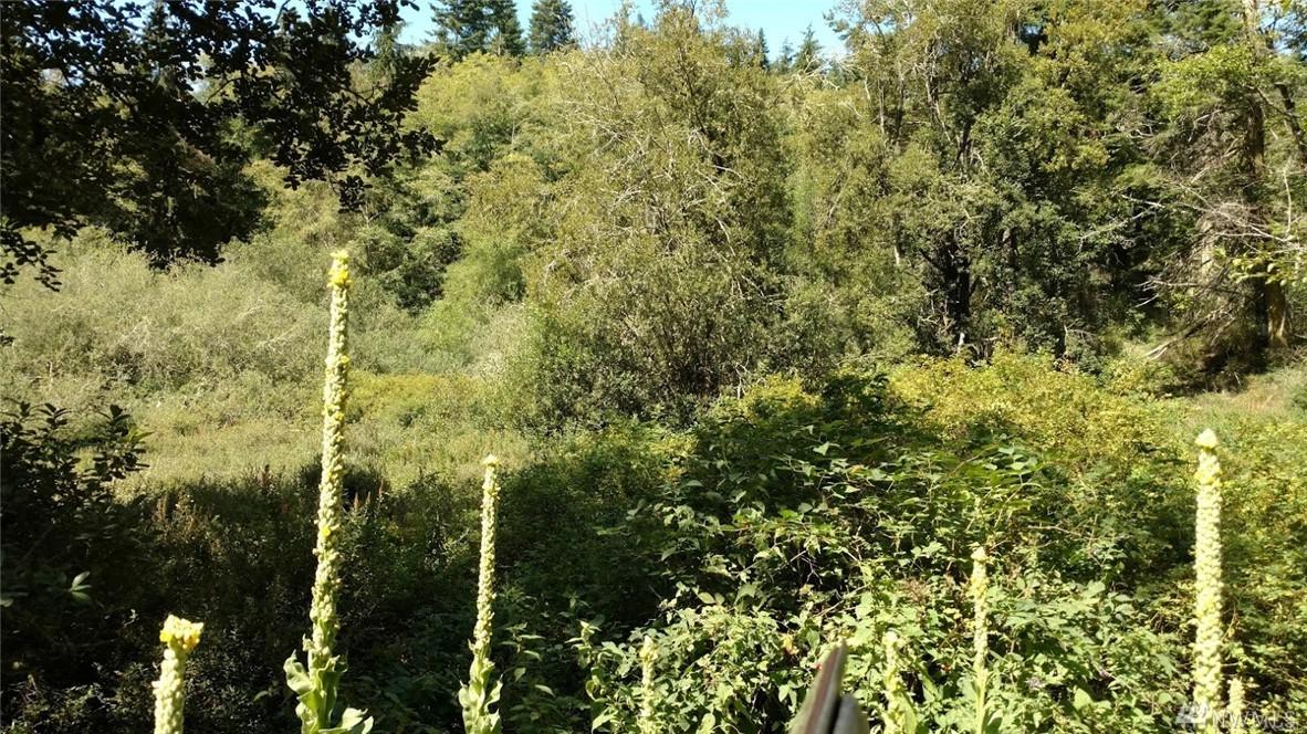 0 Turningleaf Lane - Photo 1