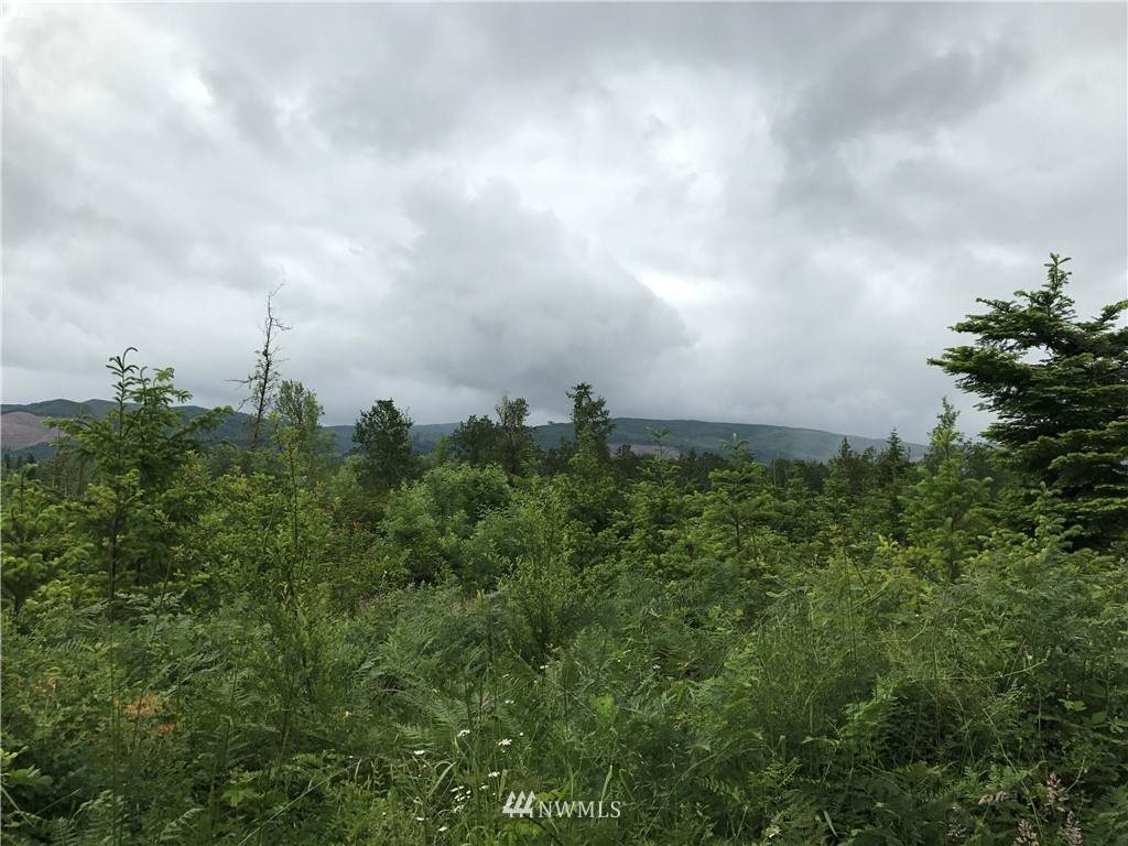 1 (North) 173rd Avenue - Photo 1